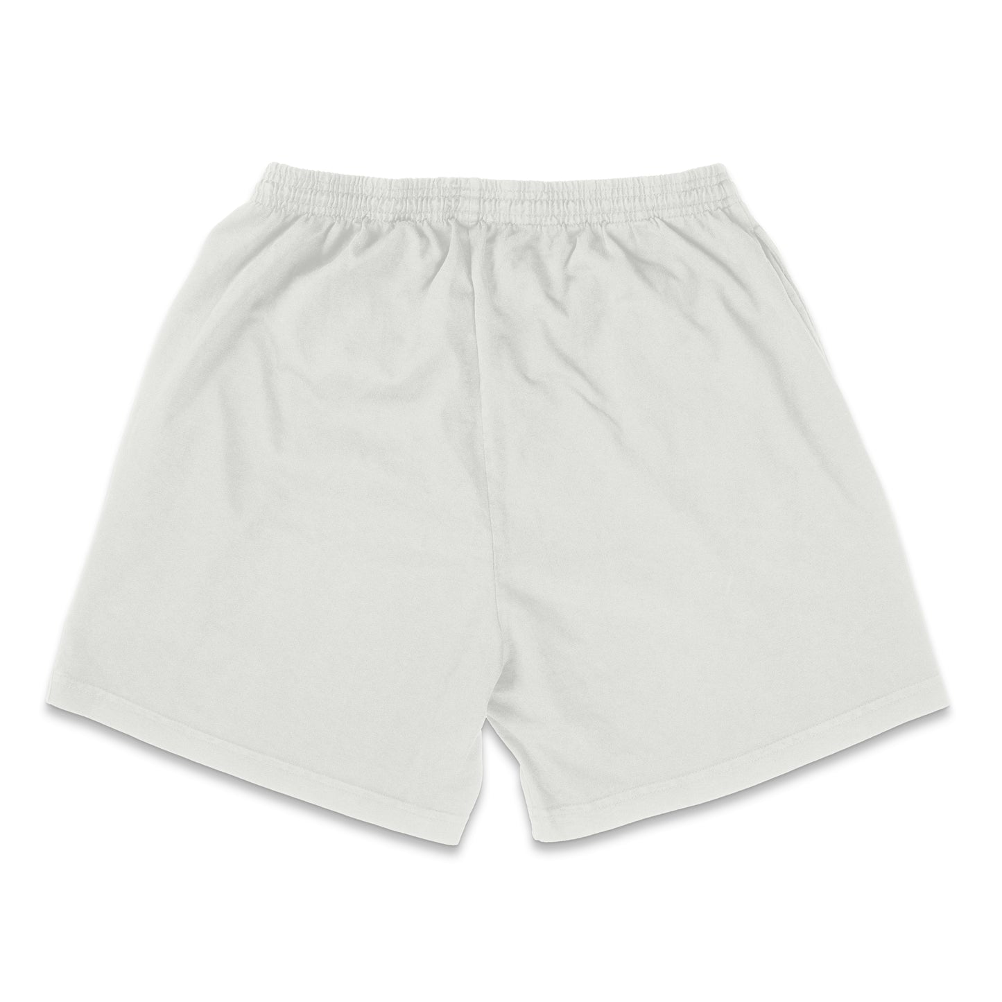 MADE ON EARTH Shorts