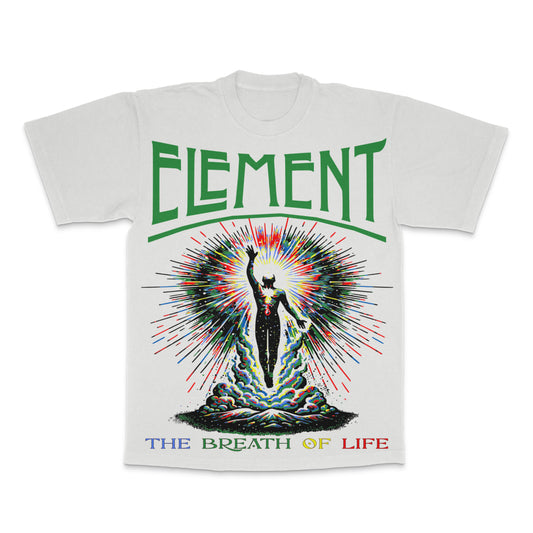 ELEMENT OVERSIZED TEE