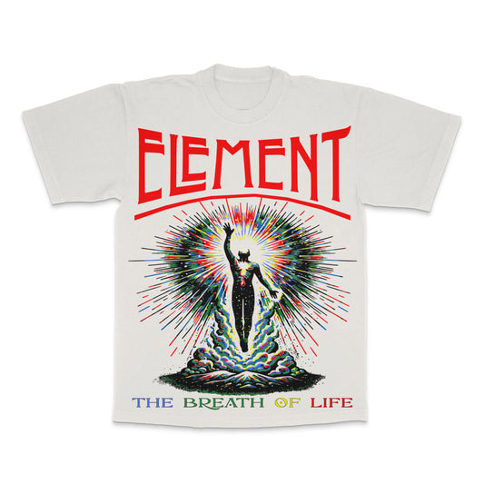 ELEMENT OVERSIZED TEE